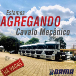 AGREGADO-DAMA-1